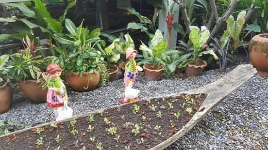 فندق Baan Suan Geb Tawan Lop Buri المظهر الخارجي الصورة